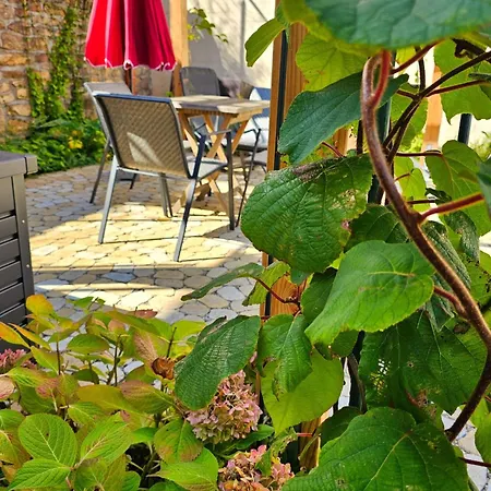 Tatil Evi Kiwihof By Interhome Billigheim-Ingenheim
